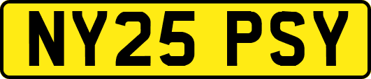 NY25PSY