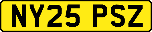 NY25PSZ