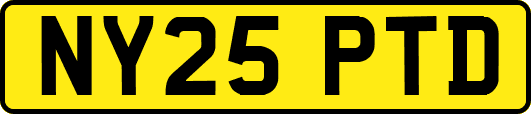 NY25PTD