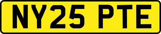 NY25PTE