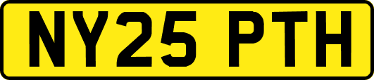 NY25PTH