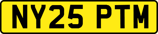 NY25PTM