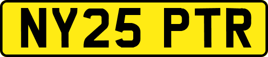 NY25PTR