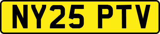 NY25PTV