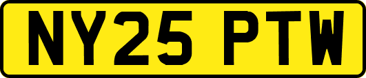 NY25PTW