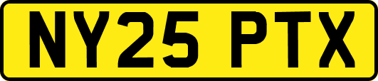 NY25PTX