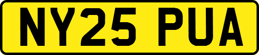 NY25PUA