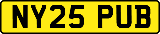 NY25PUB