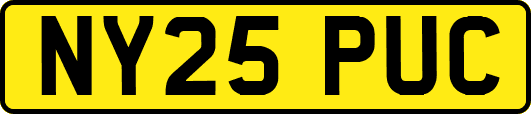 NY25PUC