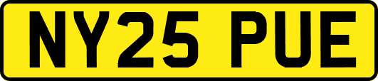 NY25PUE