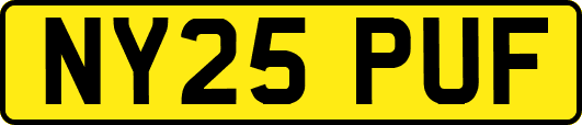 NY25PUF