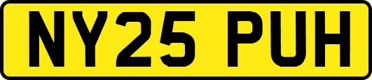 NY25PUH