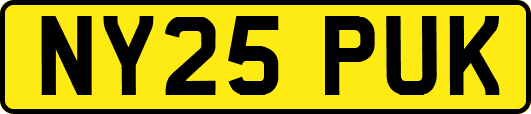 NY25PUK