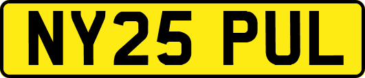 NY25PUL