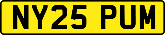 NY25PUM