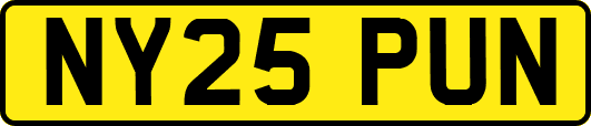 NY25PUN