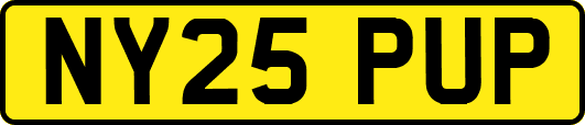 NY25PUP
