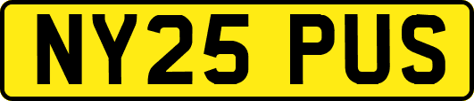 NY25PUS