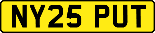 NY25PUT