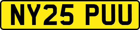 NY25PUU