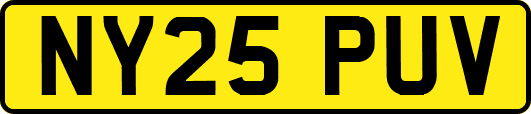 NY25PUV