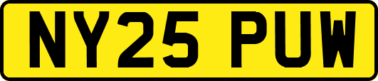 NY25PUW