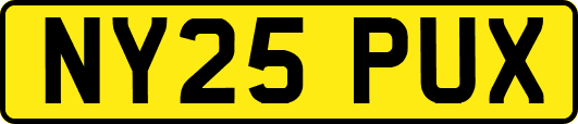 NY25PUX