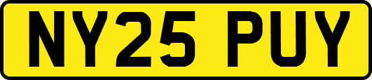 NY25PUY