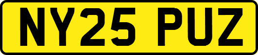 NY25PUZ