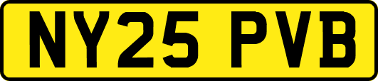 NY25PVB