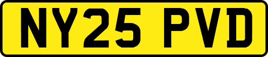 NY25PVD