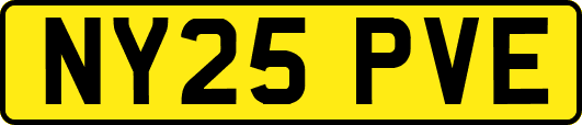 NY25PVE