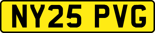 NY25PVG