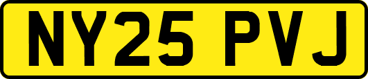 NY25PVJ