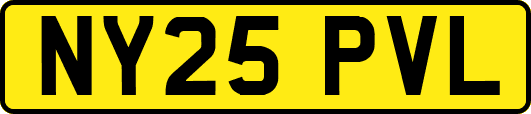 NY25PVL