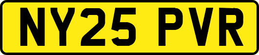 NY25PVR