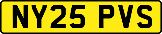 NY25PVS