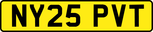 NY25PVT