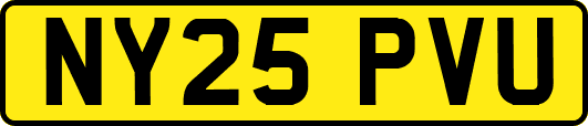 NY25PVU