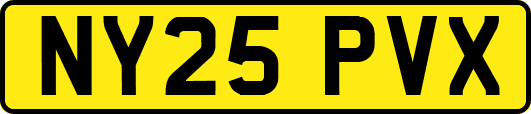 NY25PVX