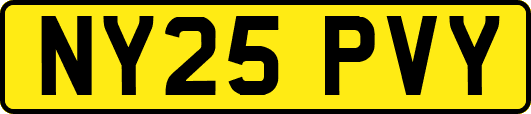 NY25PVY