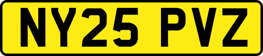 NY25PVZ