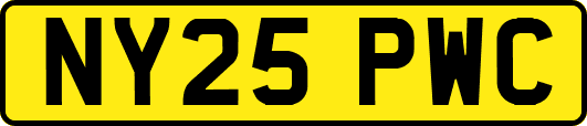 NY25PWC