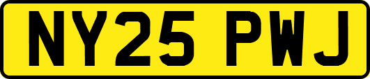 NY25PWJ