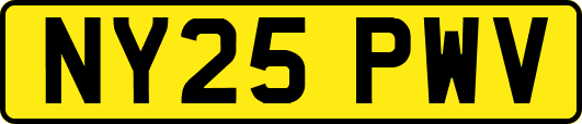 NY25PWV