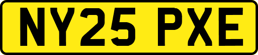 NY25PXE