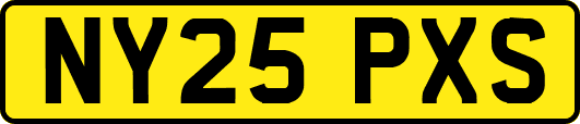 NY25PXS