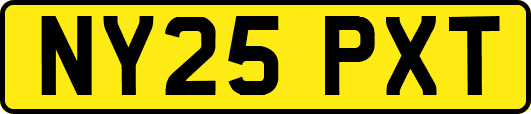 NY25PXT