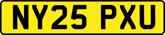 NY25PXU