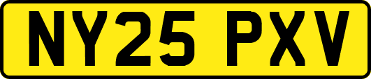 NY25PXV